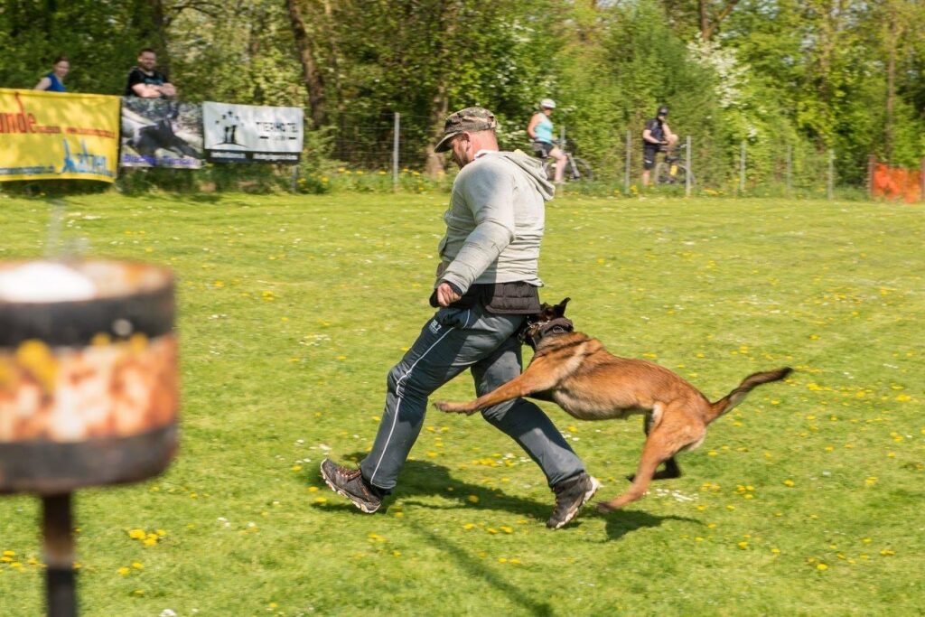 Vorführung von Schutzhund Training am Tierischer Markt